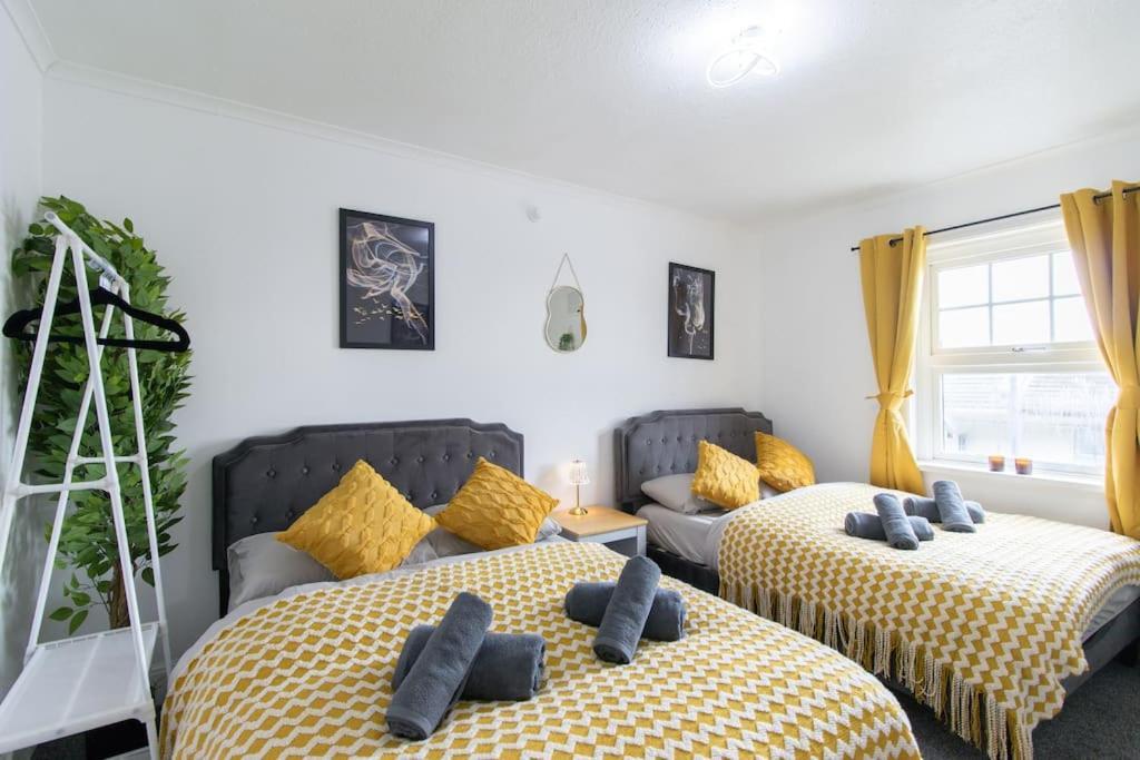 Open Mind Property - Southsea With Free Parking Portsmouth Ngoại thất bức ảnh